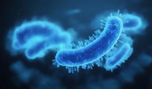 „Заспала“ заплаха в леда в Румъния: Бактерия на 5000 години се оказа имуна срещу съвременните лекарства