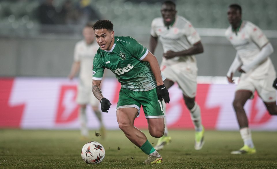 Лудогорец Ница1