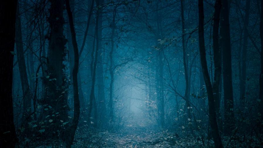 Част човек, част звяр: Какво прогони жителите на призрачния град в Аляска?