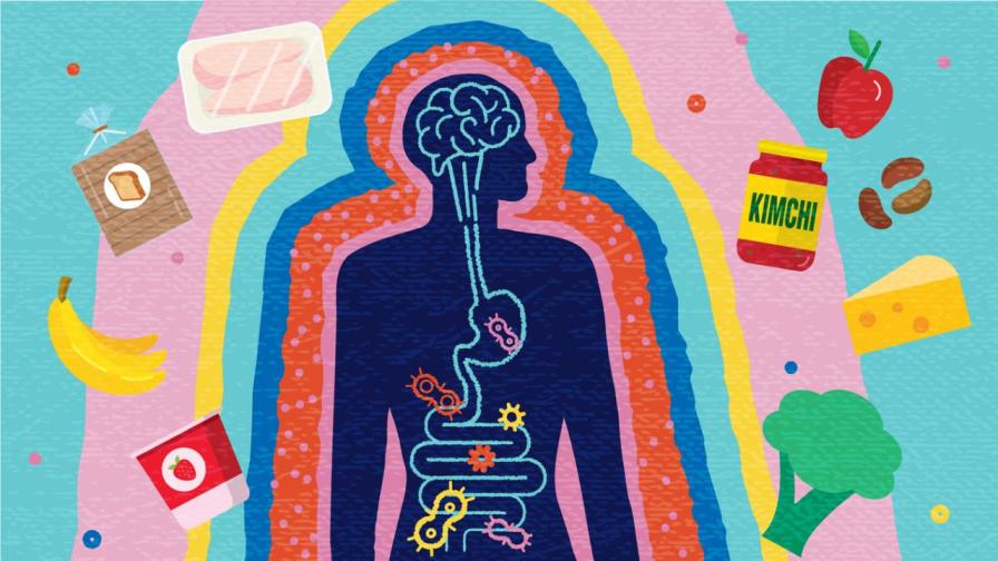 Морски мъх, комбуча и чиа за здрави черва - какво казват експертите