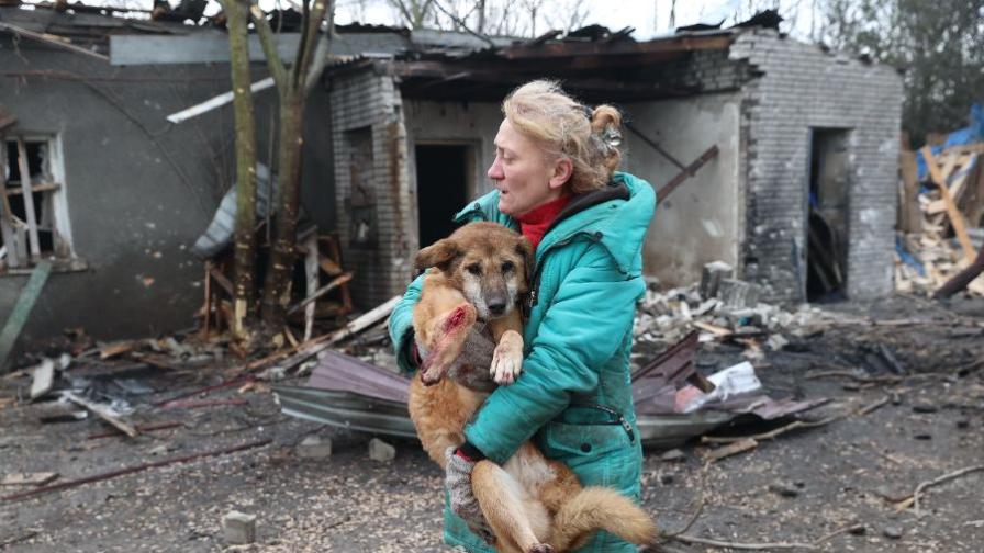 Руски бомбардировки поразиха приют за кучета в Украйна