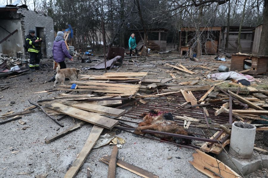 <p>При руска въздушна атака е ударен приют за кучета в украинския град Запорожие, предаде Асошиейтед прес.</p>