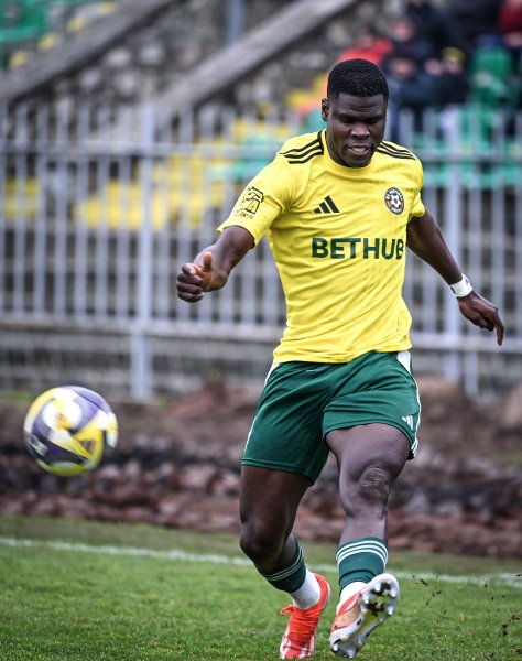 Добруджа Септември София1