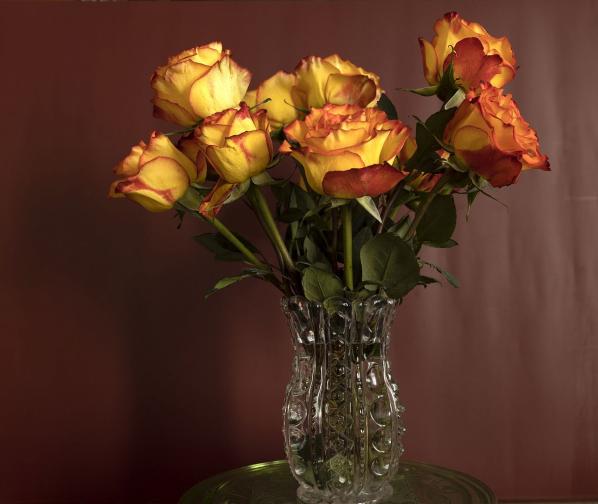 жълти рози с червени връхчета