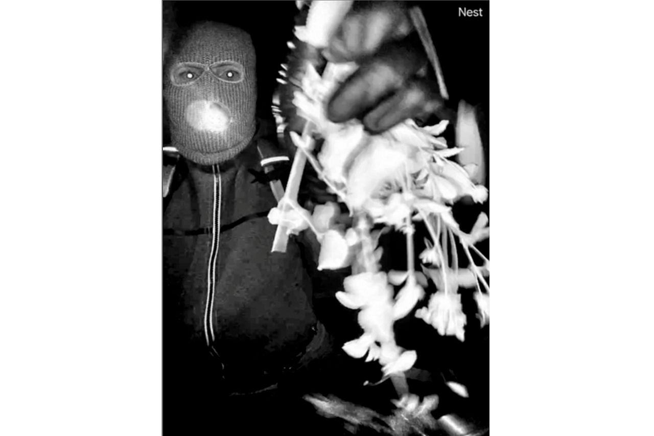 <p>Майката на популярната телевизионна водеща Савана Гътри - Нанси, беше отвлечена посред нощ от дома си в Аризона. Полицията и ФБР провеждат мащабно разследване. Властите разпространиха възстановени кадри от камерата пред дома на Нанси.&nbsp;Един човек е задържан за разпит, а в дома му се извършва претърсване.</p>