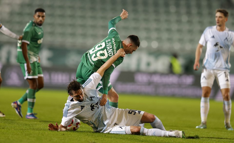 Лудогорец Левски1