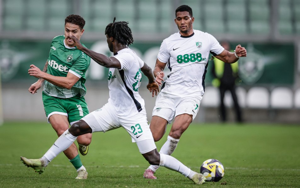 Лудогорец Берое1