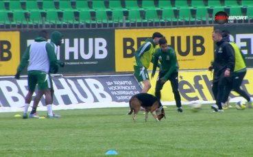 Четириного загрява с играчите на Добруджа и Монтана