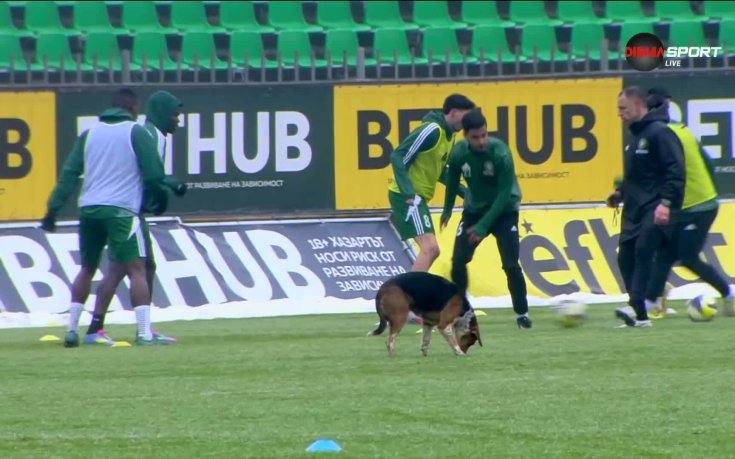 Четириного загрява с играчите на Добруджа и Монтана