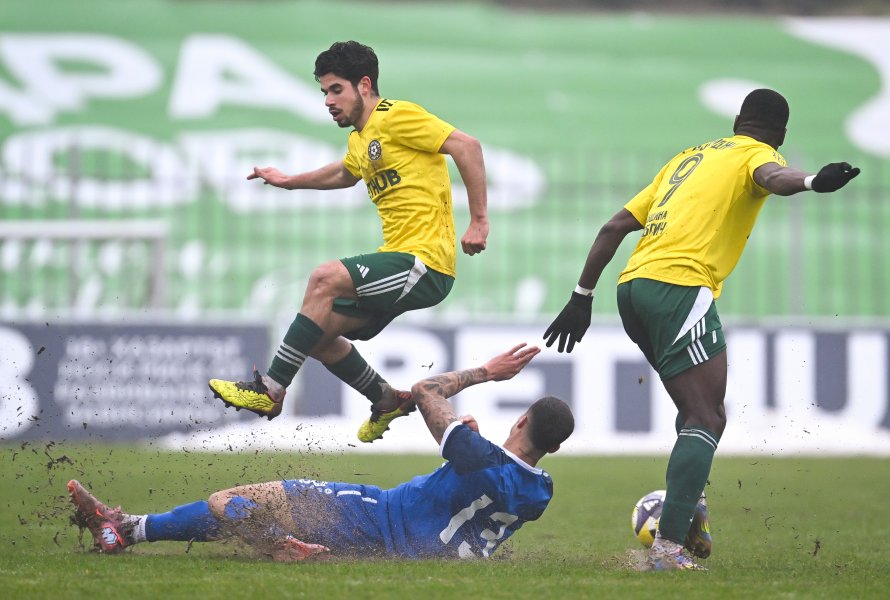 Добруджа Монтана1