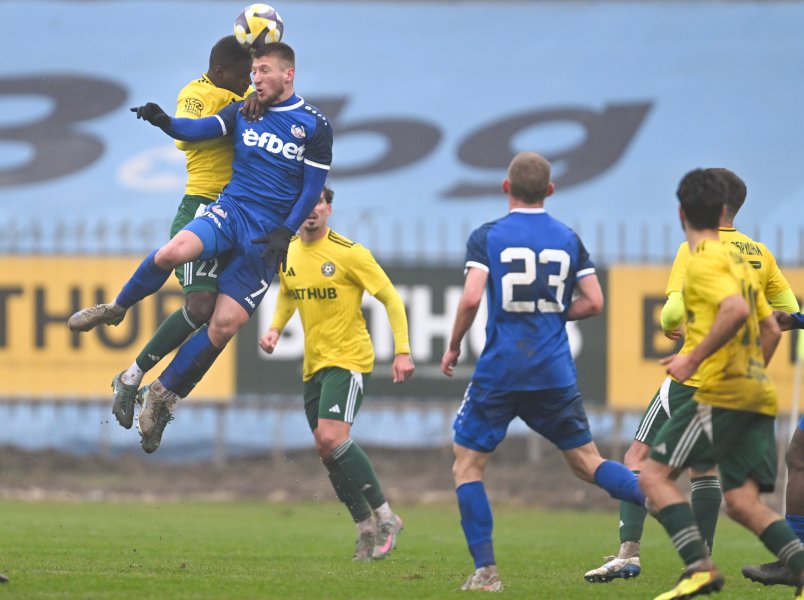 Добруджа и Монтана1