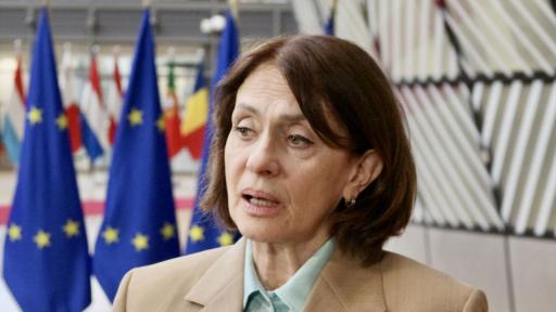 Надежда Нейнски обмисля работно посещение в Украйна