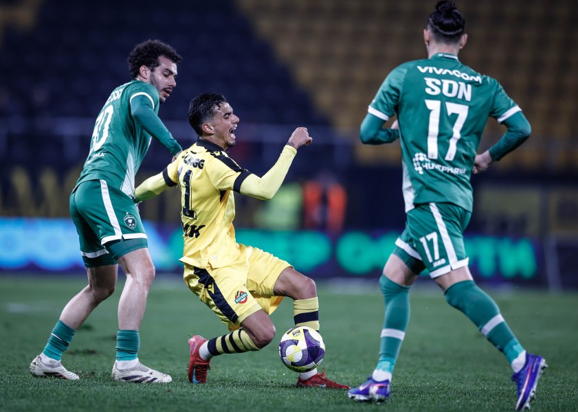 Ботев Пловдив Лудогорец1