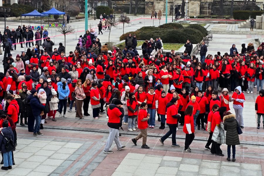 <p>Община Видин се стреми към рекорд на Гинес с изработването на 50-километрова мартеница, като водеща роля в инициативата имат читалищата на територията на общината. Това каза Ралица Славчева от Регионален център &bdquo;Читалища&ldquo; във Видин.</p>