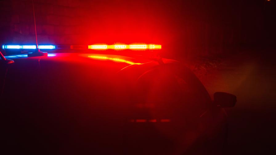 Откриха човешки кости край село Понор