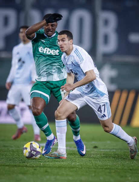 Лудогорец и Левски1