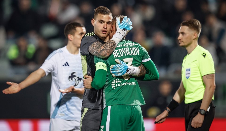 Лудогорец и Левски1