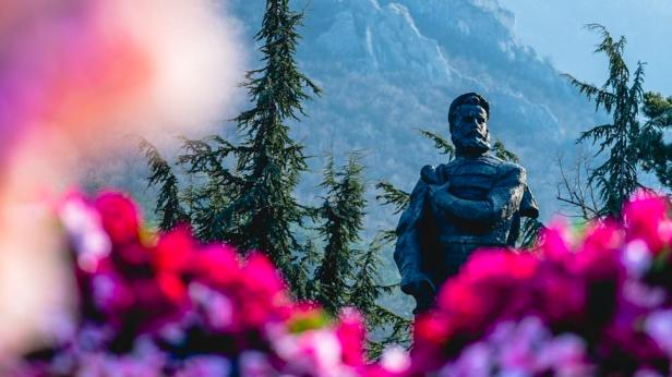 Враца грейна в цветове за 8 март