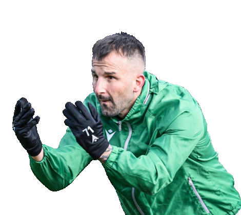 Васил Панайотов