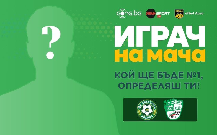 Гласувай за Играч на мача Добруджа - Берое