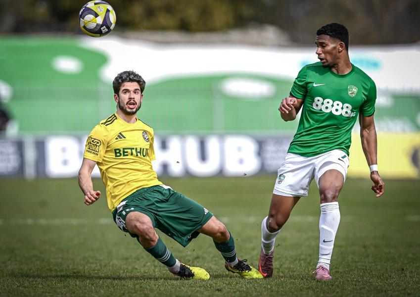 Добруджа Берое1