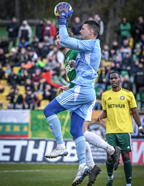 Добруджа Берое1