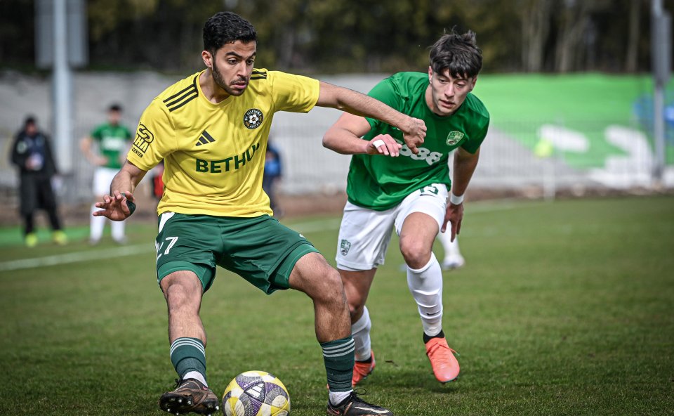 Добруджа Берое1