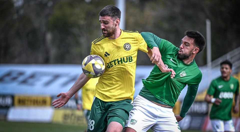 Добруджа Берое1