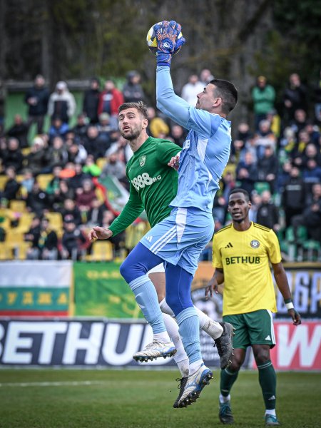 Добруджа Берое1