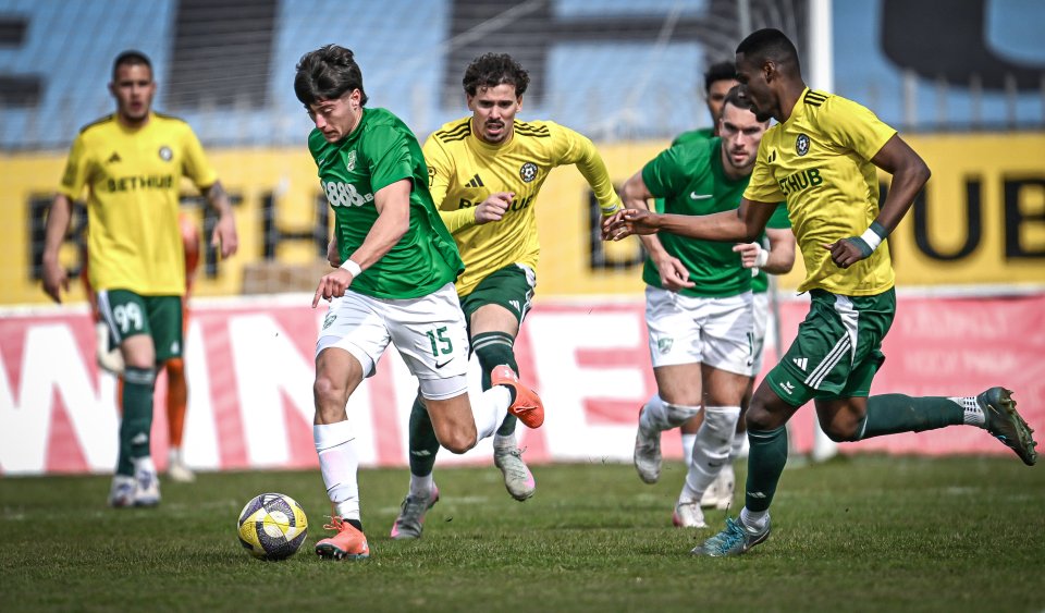 Добруджа Берое1