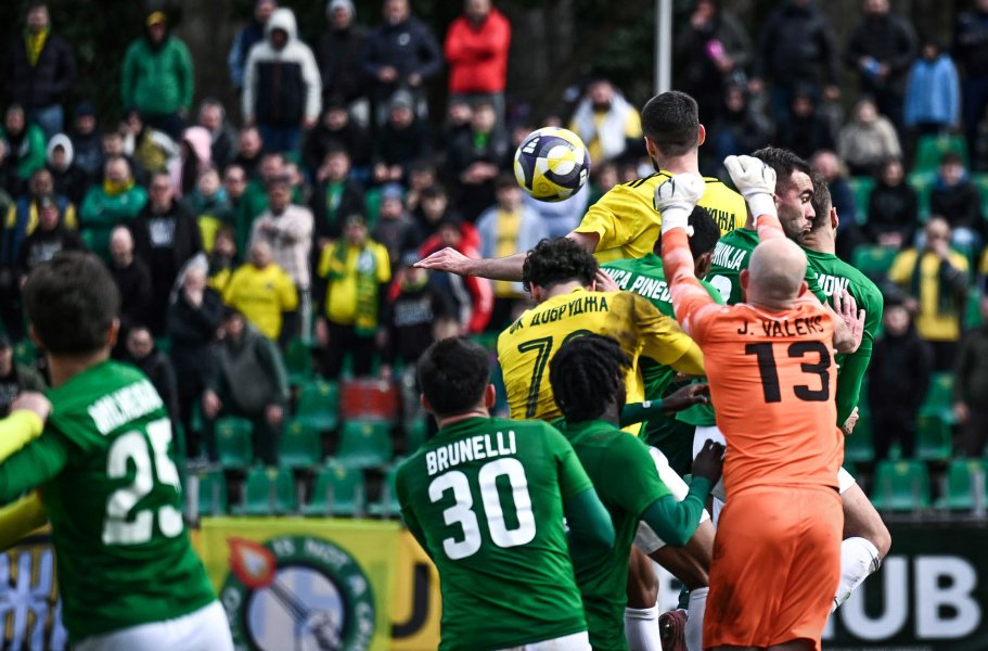 Добруджа Берое1