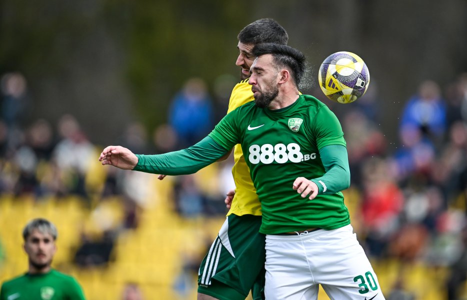 Добруджа Берое1