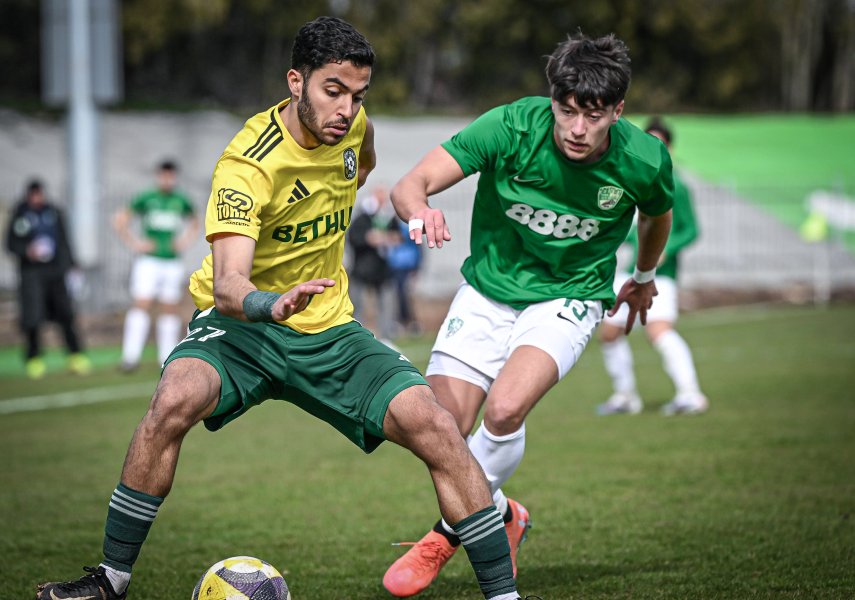 Добруджа Берое1