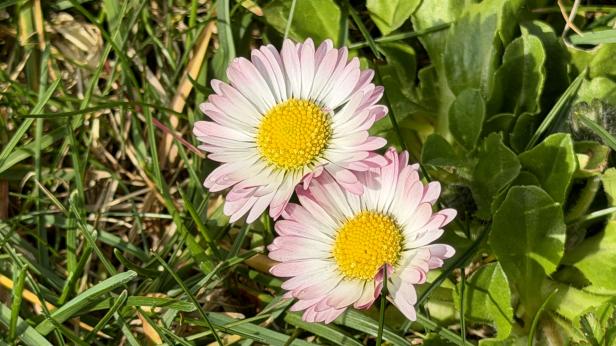 В ход е период с приветливо слънчево време