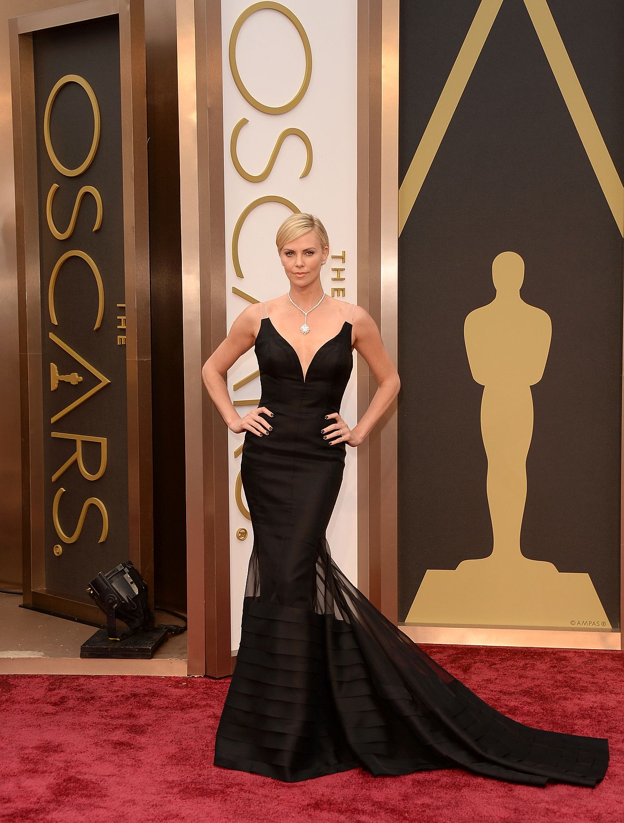 <p><strong>Чарлийз Терон</strong></p>

<p><em>Цена: 90 000 долара</em></p>