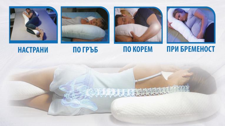 Dreamolino SwanPillow