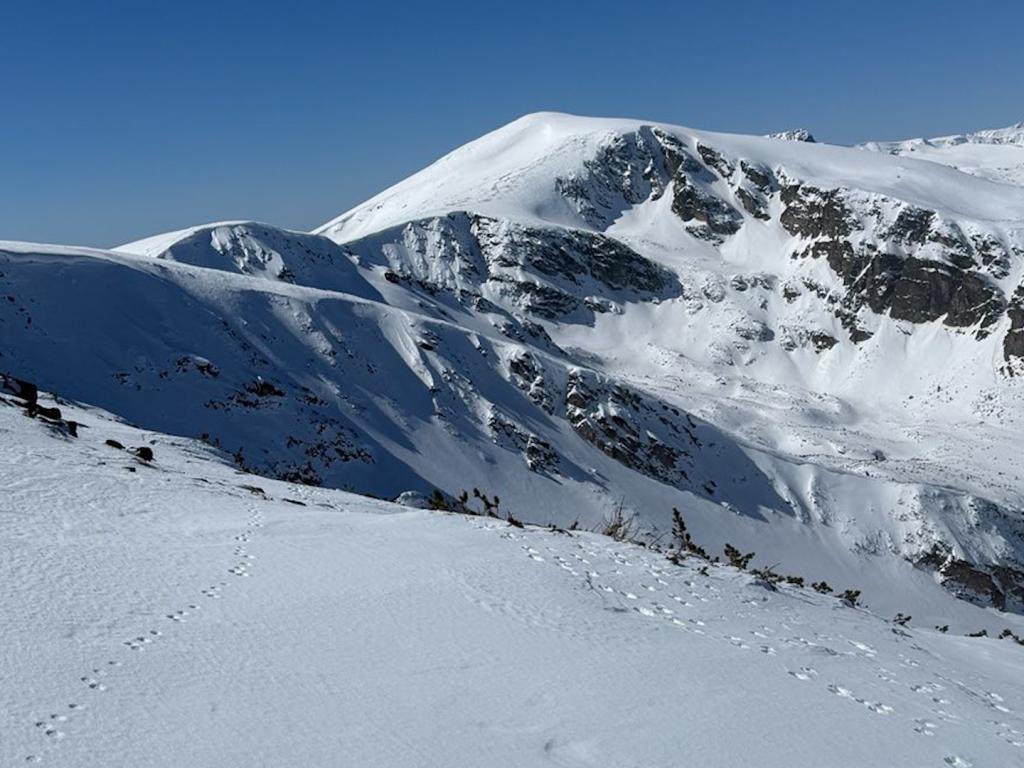 Нарушители с моторни шейни в Рила