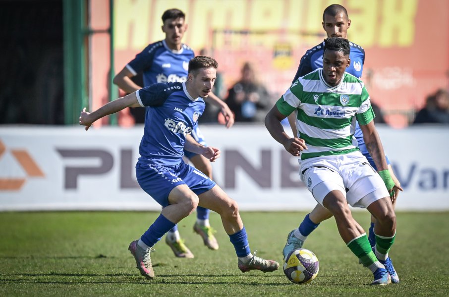 Черно море Монтана1