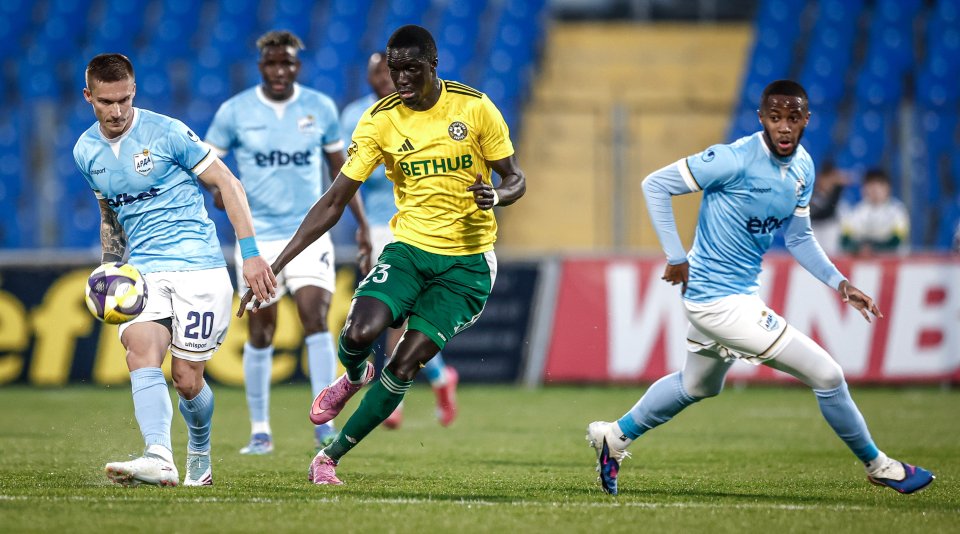 Арда Добруджа1