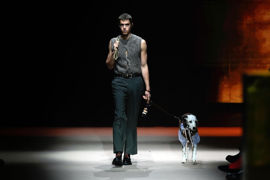 <p>Седмица на модата в Мадрид - Custo Barcelona представи нова колекция.</p>