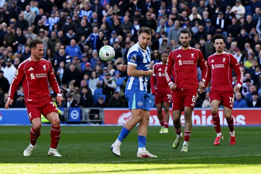 Брайтън Ливърпул1