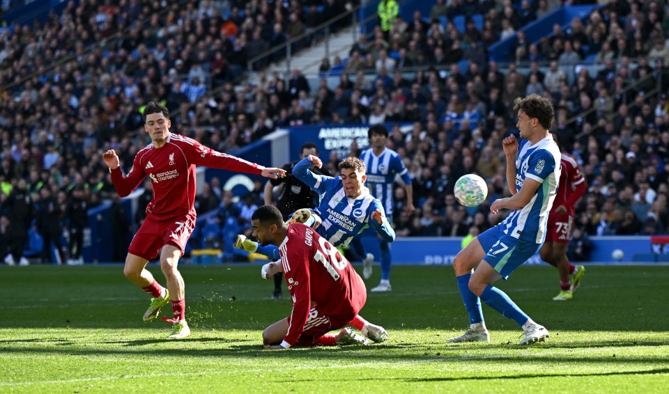 Брайтън Ливърпул1