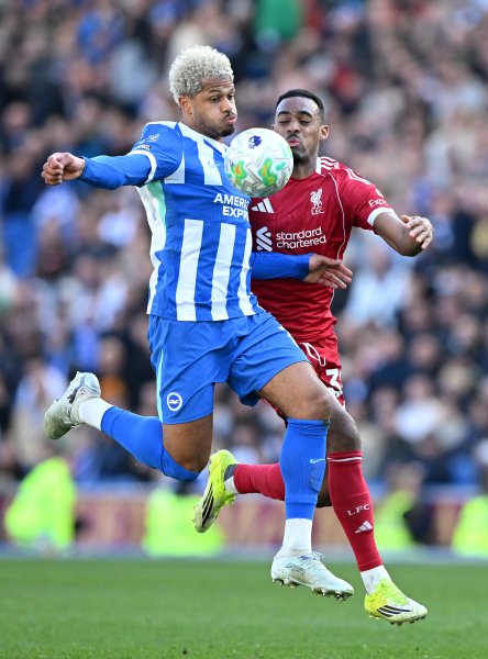 Брайтън Ливърпул1