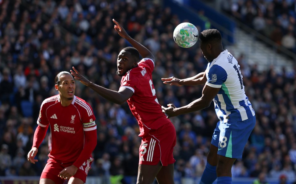 Брайтън Ливърпул1