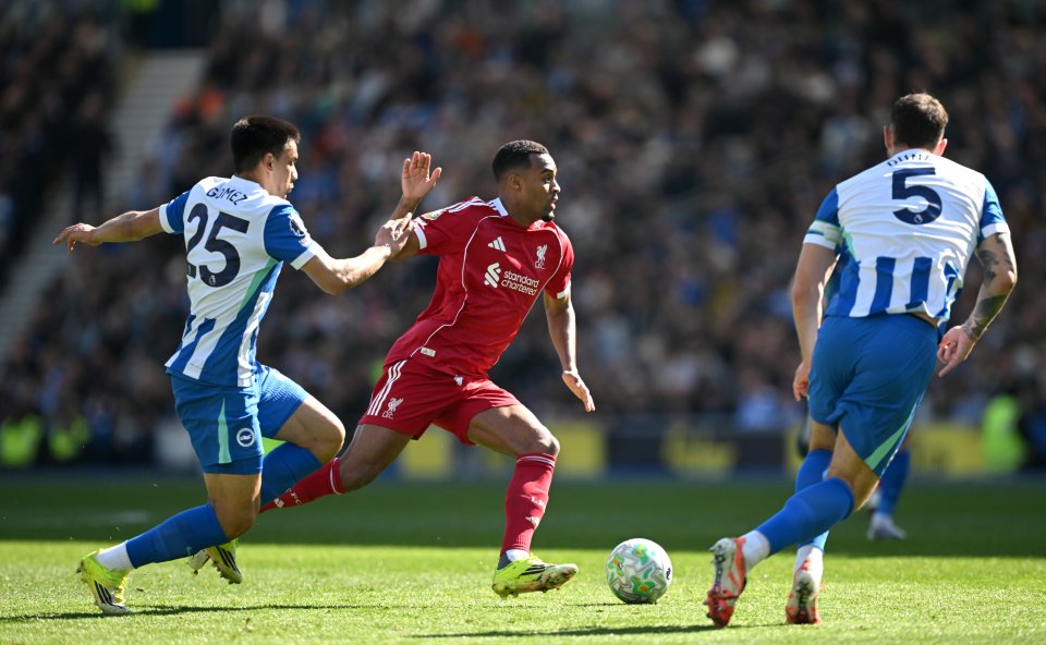 Брайтън Ливърпул1