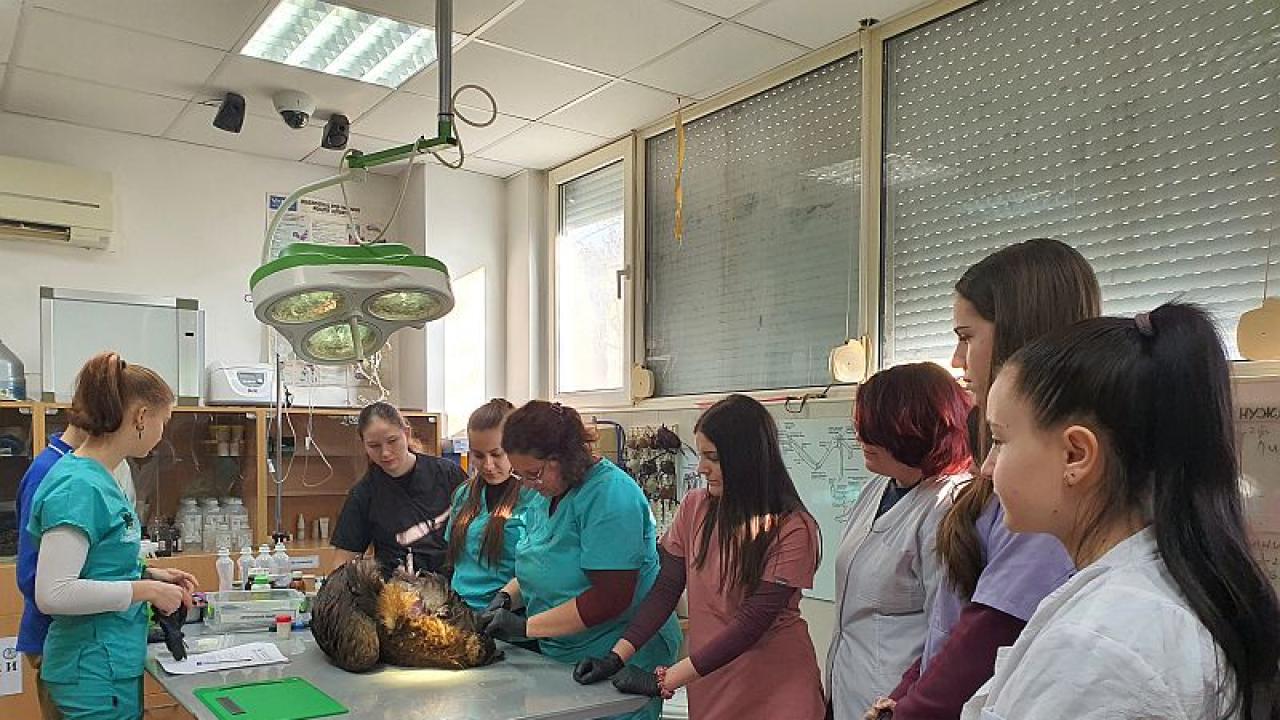 Спасителен център за диви животни към "Зелени Балкани"