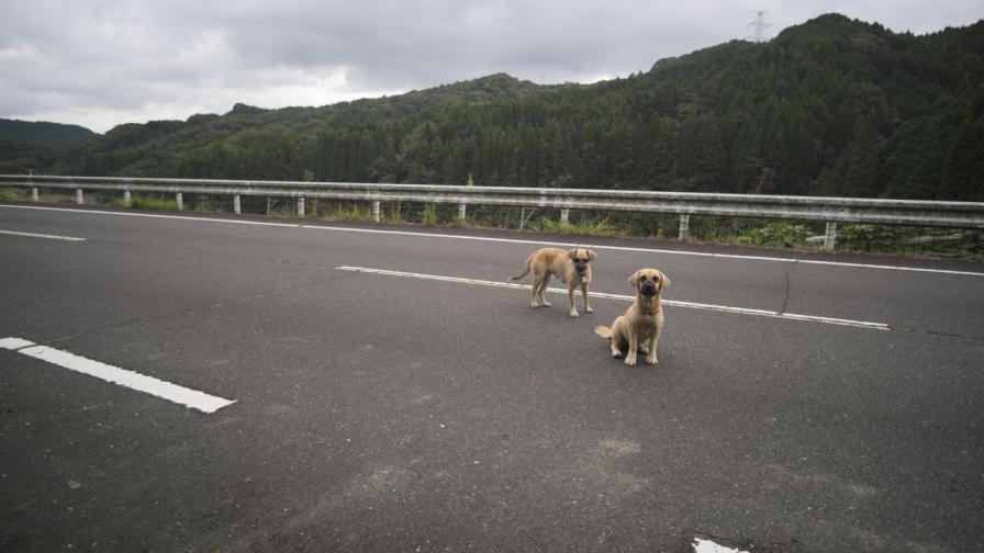 Снимката е илюстративна