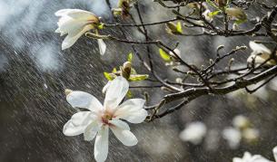 Подгответе се: Жълт и оранжев код в почти цяла България