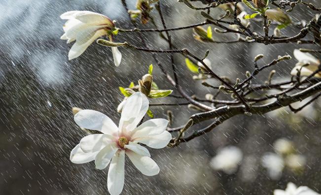 Подгответе се: Жълт и оранжев код в почти цяла България