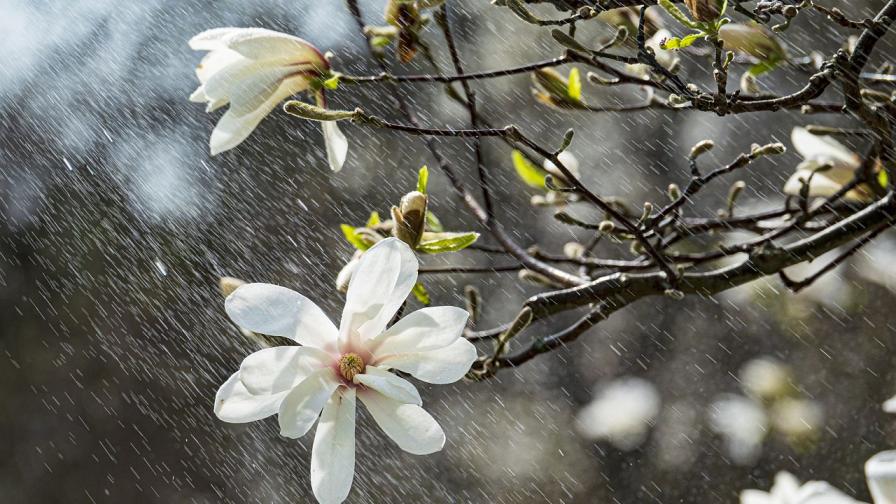 Подгответе се: Жълт и оранжев код в почти цяла България